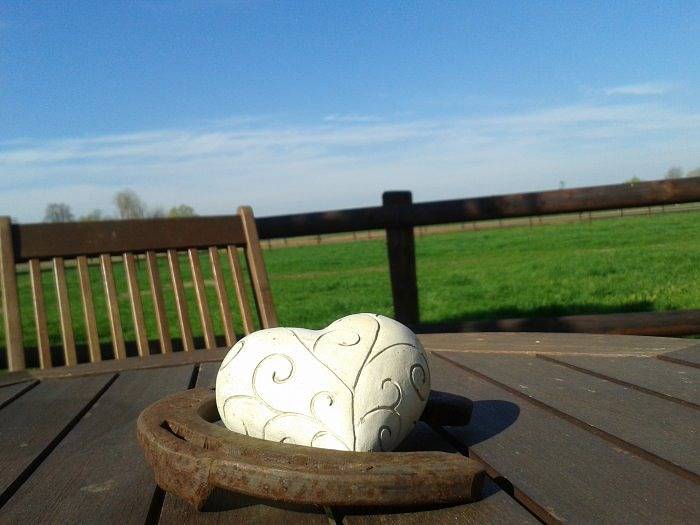 Bauernhof für 2 Personen, mit Garten und Terrasse, kinderfreundlich im Ruhrgebiet - 4