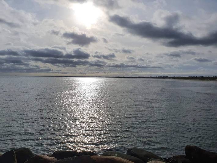 Ferienhaus für 6 Personen, mit Terrasse, mit Haustier in Lodskovvad - 4