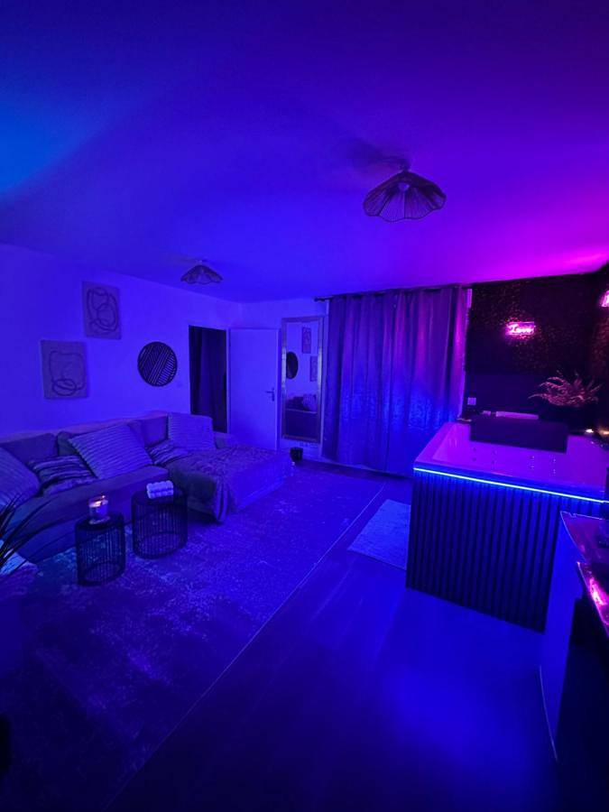 Gîte pour 4 personnes, avec terrasse et jacuzzi dans Saint-Quentin en Yvelines - 3