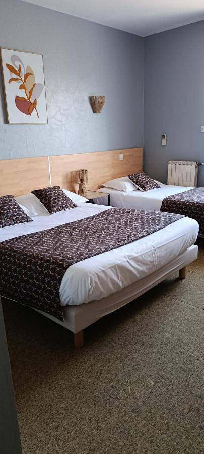Hôtel pour 2 personnes, animaux acceptés à Fleurance - 3