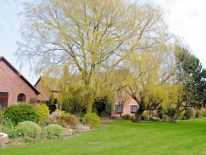 Cottage for 6 people, with garden, with pets in Skegness
