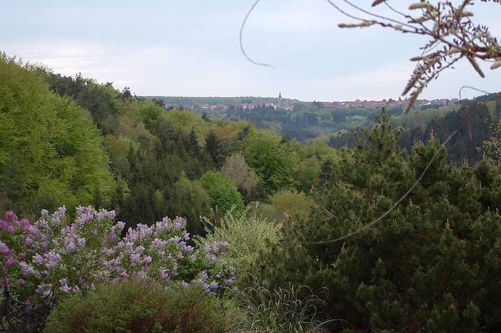 Maison de vacances pour 12 personnes, avec Terrasse et Jardin