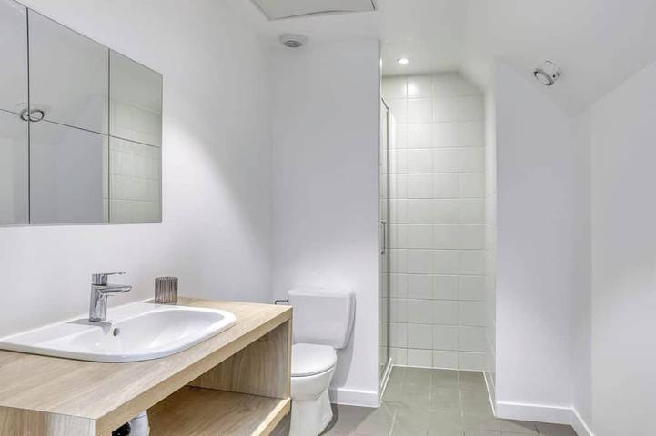 Ganze Wohnung, Grand Loft 45m2 50m Gare Annemasse in Annemasse, Saint-Julien-en-Genevois und Umgebung
