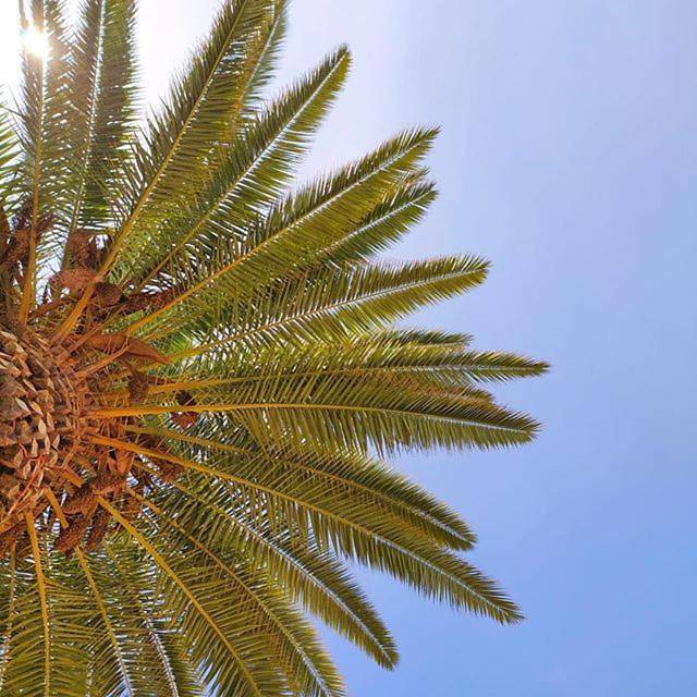 Apartamentos Borda D´Agua in Albufeira, Albufeira e Olhos de Água