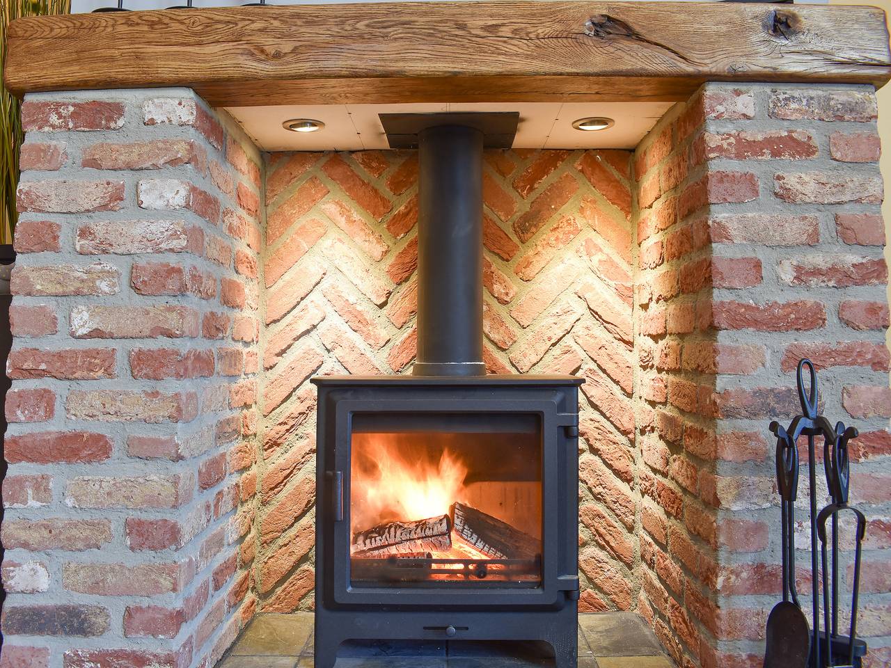 Primrose in North Yorkshire