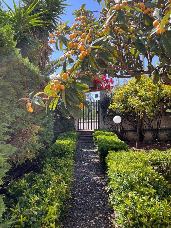 Casa vacanza per 6 persone, con panorama e giardino nonché terrazza, con animali domestici - 1