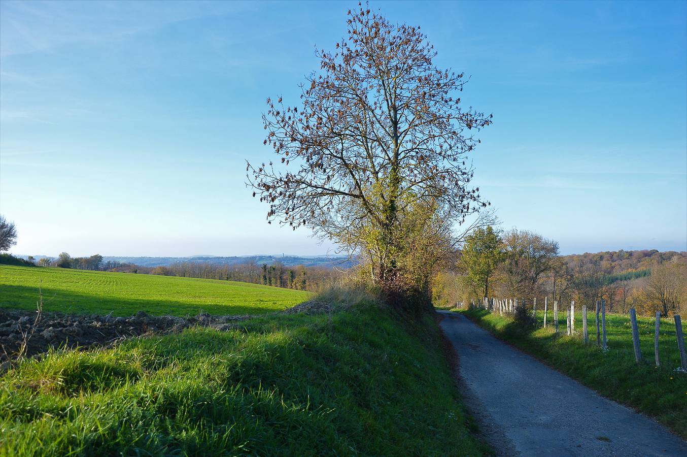Damary, Le Fournil in Septème, Région de Vienne