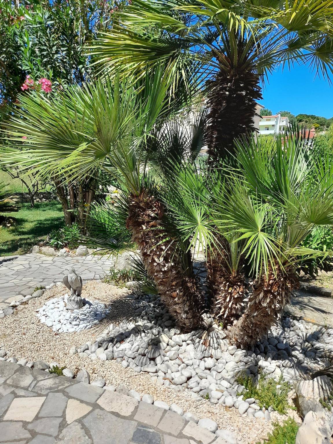Ganze Wohnung, 2-Zimmer-Ferienwohnung mit Balkon Palit, Rab A-22221-a in Palit, Rab