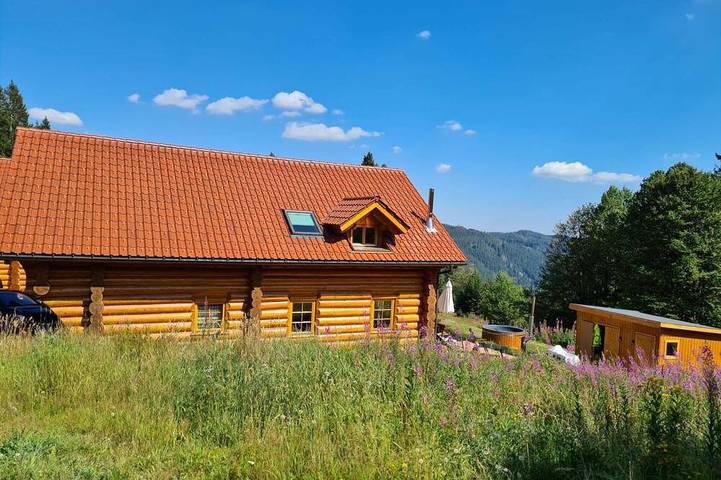 Ferienhaus für 14 Personen, mit Garten und Whirlpool sowie Sauna, mit Haustier in Feldberg