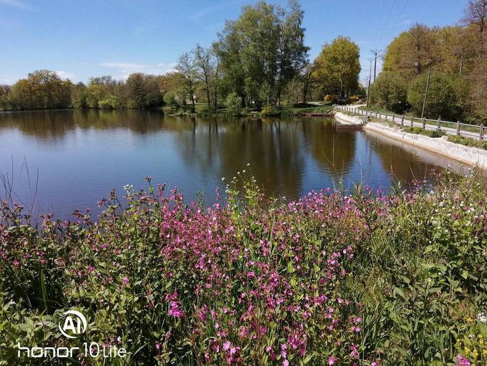 Chalet pour 6 personnes, avec Balcon et Terrasse ainsi que Jardin et Vue sur le lac