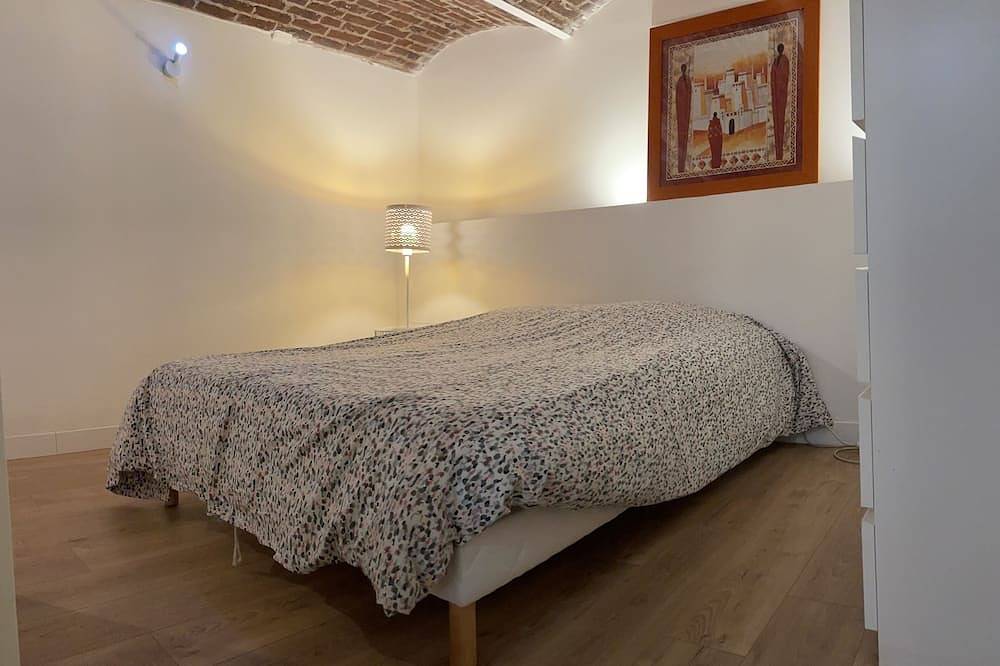 Duplex Du Biplan in Wazemmes (Lille), Lille