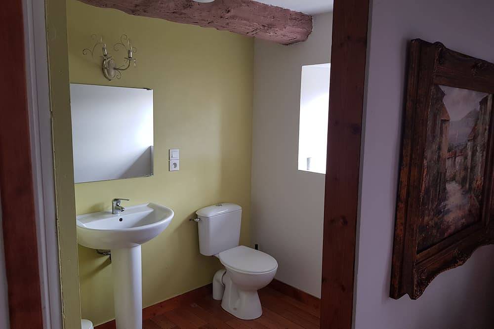 Beautifully Restored Detached Stone House in Jugon-les-Lacs, Dinan region