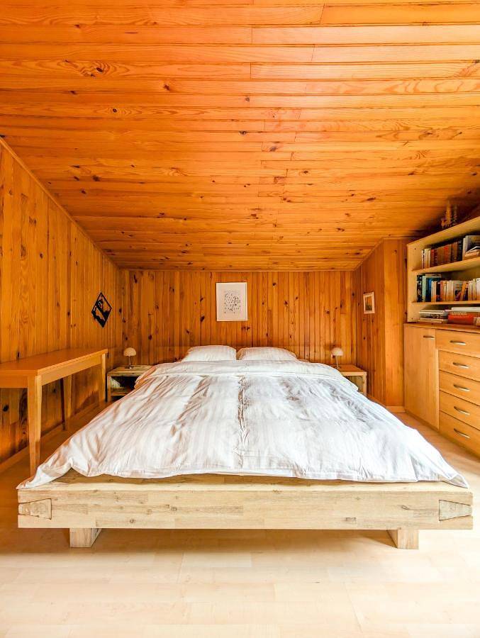 Gîte pour 10 personnes, avec jardin et vue à Vionnaz - 4