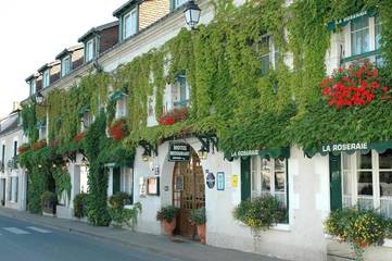 Hôtel pour 2 personnes, avec jardin ainsi que terrasse et piscine, animaux acceptés à Chenonceaux