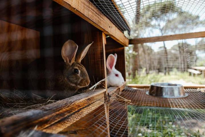 Location de vacances pour 6 personnes, avec piscine à Tordera - 3