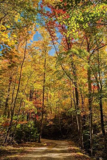 Log Cabin for 8 Guests in Sevierville, Sevier County, Picture 3