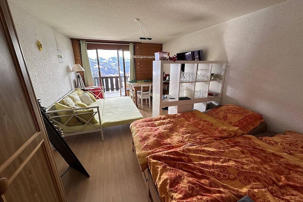 Appartement entier, Studio avec vue à couper le souffle ! in Leysin, Alpes Vaudoises