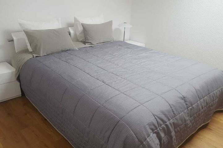 Ganze Wohnung, Luxus Apartment Penthouse in Brienz, Verwaltungskreis Interlaken-Oberhasli