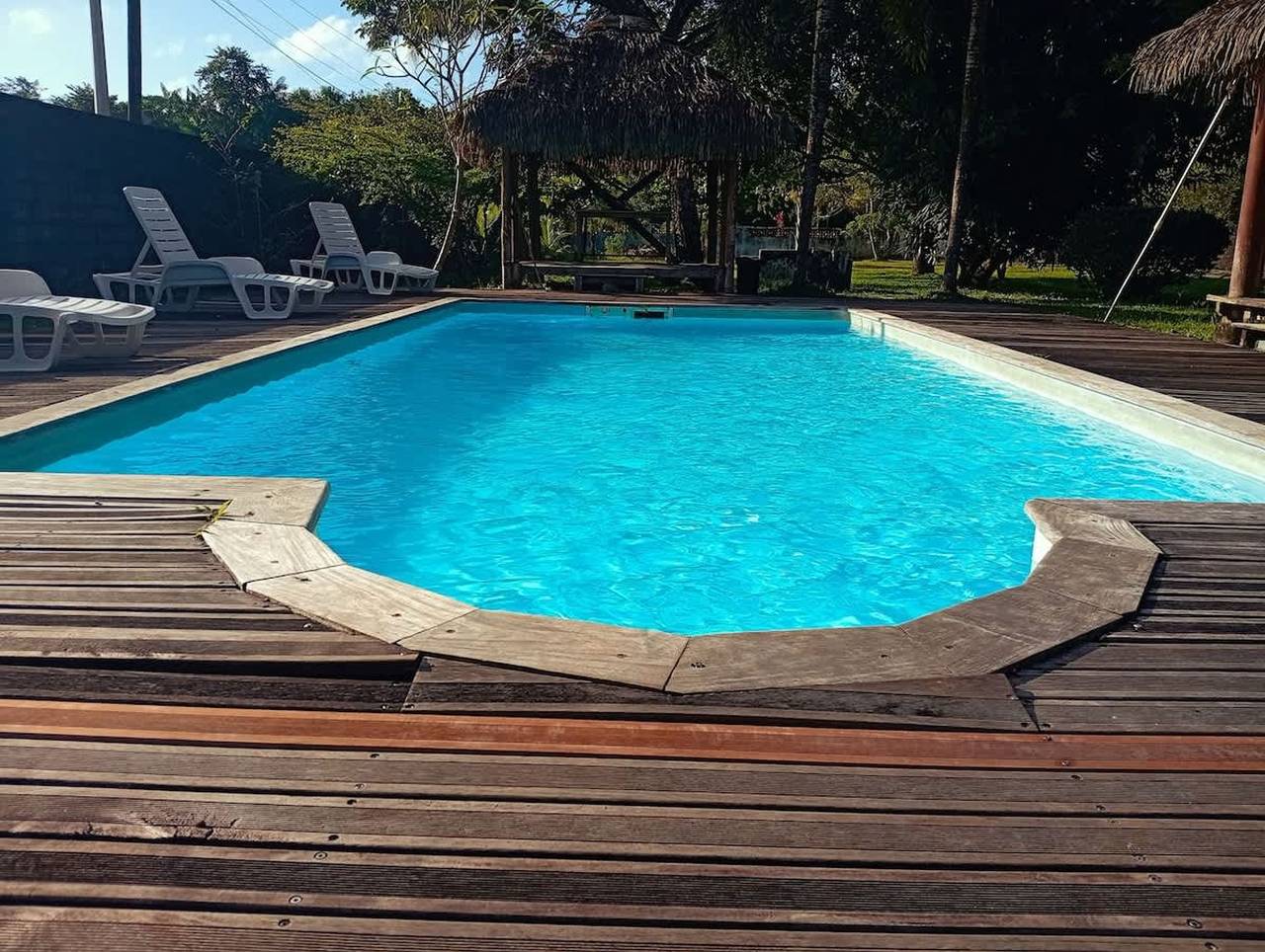 La Villa des Palmiers Bleus - Piscine   Jardin in Matoury, French Guiana
