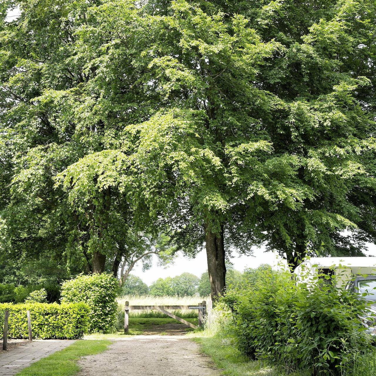 Recreatiepark Den Blanken — Blockhaus | 4 Personen in Neede, Gelderland