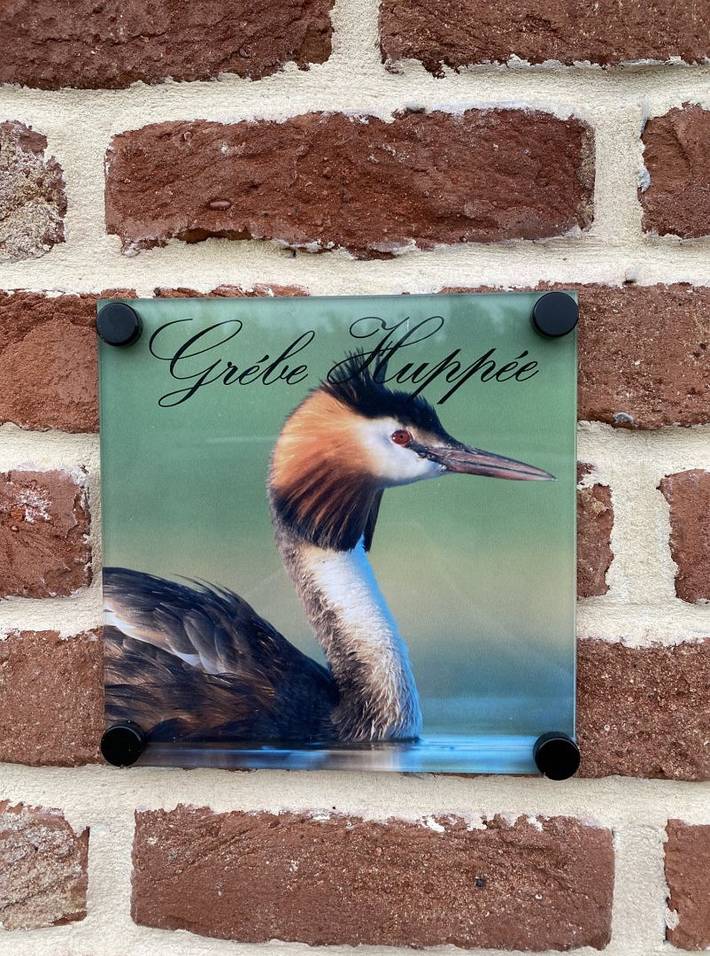 Gîte pour 3 personnes, avec jardin ainsi que terrasse et vue sur le lac au Le Crotoy - 4