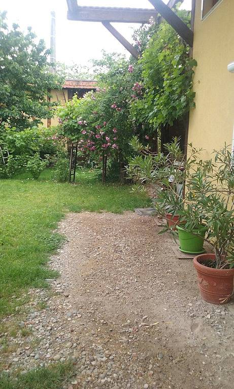 Gîte pour 8 personnes, avec terrasse et jardin à Muntzenheim