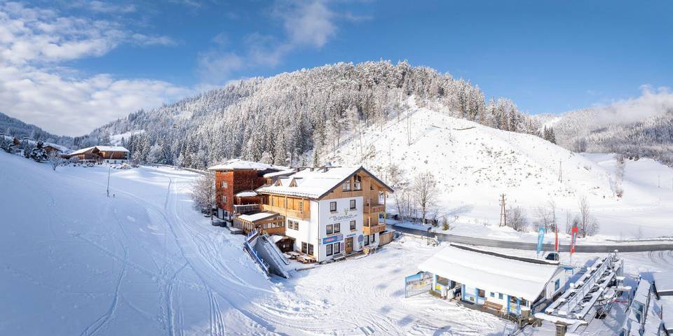 Hotel für 5 Personen, mit Garten und Terrasse, mit Haustier in Forstau