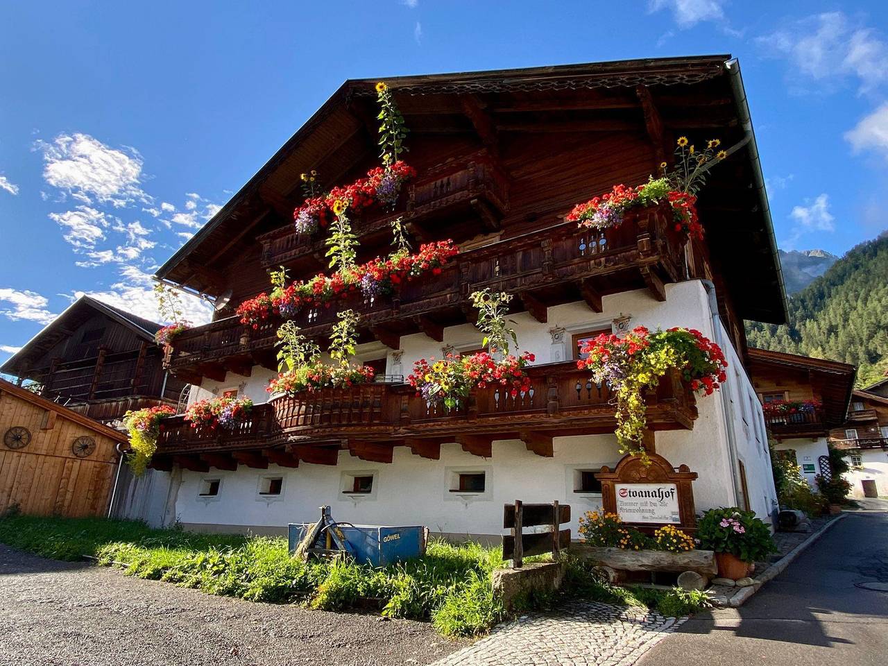 Alpenrose in Virgen, Bezirk Lienz