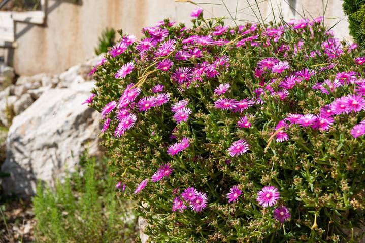 Ferienwohnung für 6 Personen, mit Pool und Balkon in Split-Dalmatien