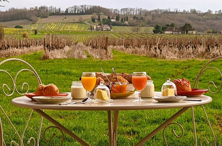 Location de vacances pour 2 personnes, avec piscine et jardin à Monbazillac - 4