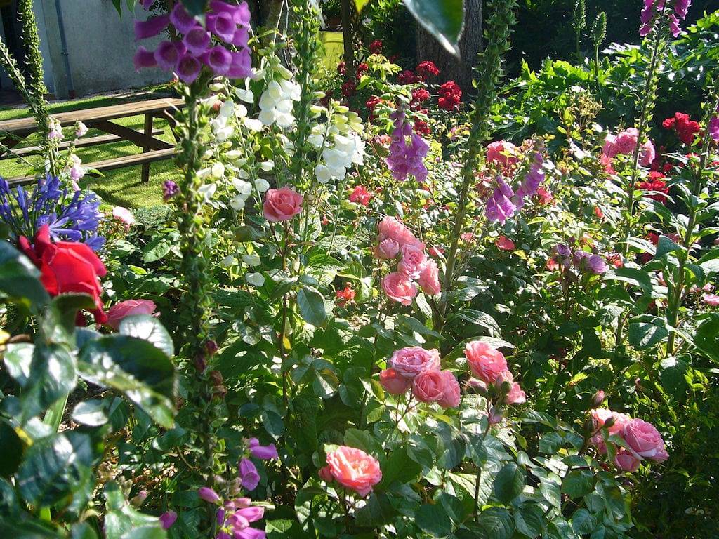 La Roseraie - Chambre familiale Les Coquelicots in Courseulles-sur-Mer, Région de Caen