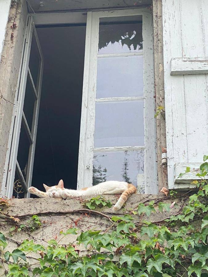 Double Room with Garden View in Moissac, Quercy