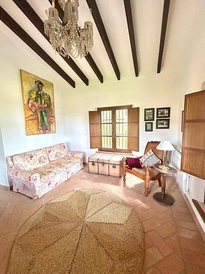 Chalet para 10 personas, con jardín además de piscina y vistas, Se admiten mascotas en Aljarafe - 2