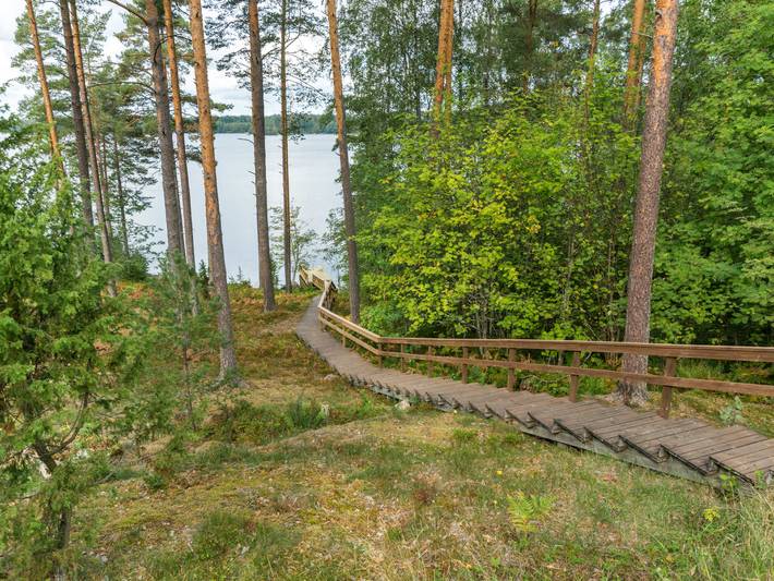 Metsä-iivari in Lohja, Uusimaa