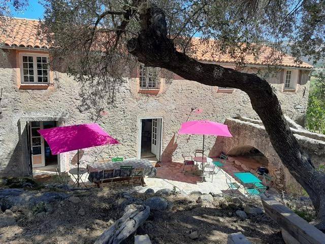 Le Moulin de l'Ostriconi in Novella, Région de Calvi