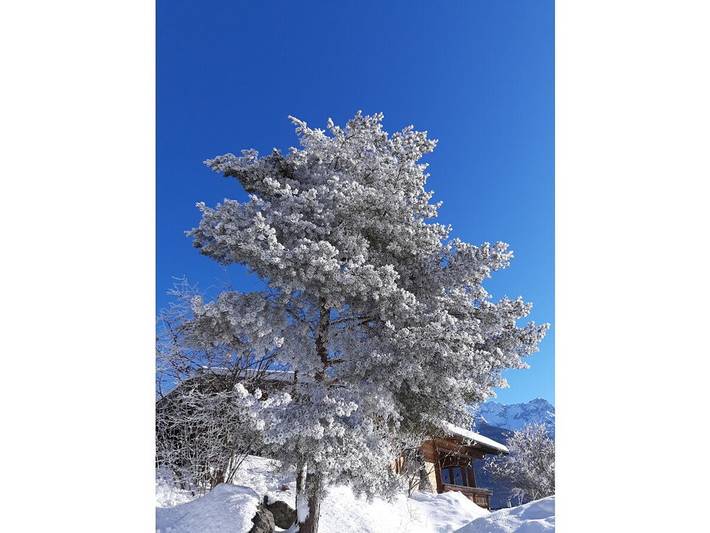 Ferienwohnung in Waidring mit Wifi in Waidring, Chiemgauer Alpen