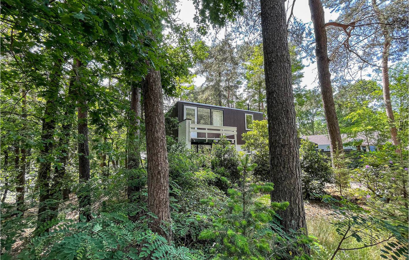 Ferienhaus für 5 Personen mit Terrasse in Nationalpark De Groote Peel