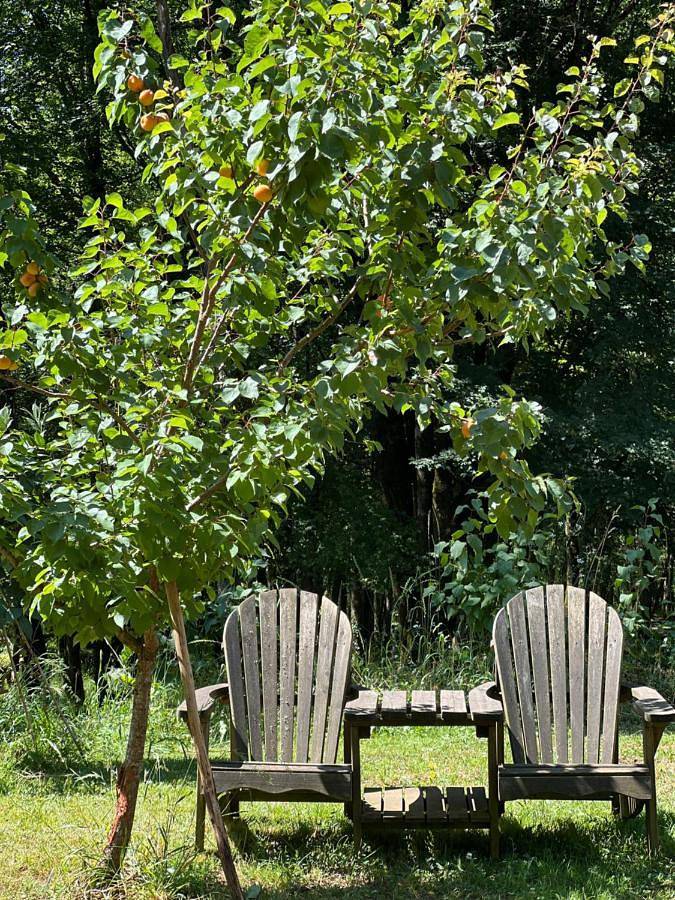 Aire Naturelle Camping Domaine de Mombret Haut in Duravel, Quercy