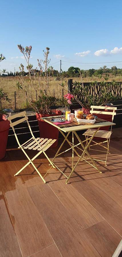 Chambre d’hôte pour 2 personnes, avec jardin ainsi que jacuzzi et terrasse à Le Cailar - 4
