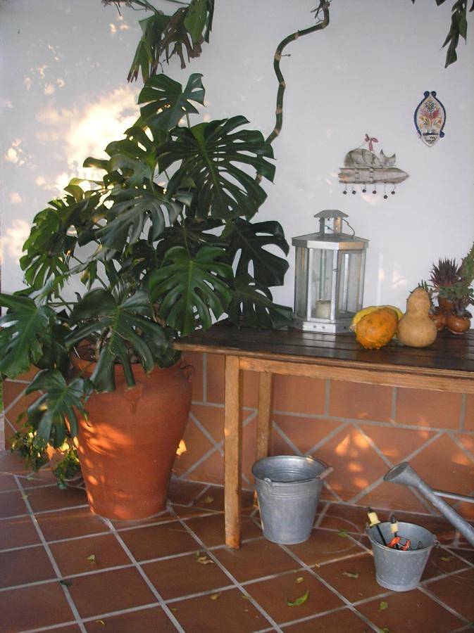 Casa de vacaciones para 8 personas, con vistas y piscina además de jardín y terraza en Tierra de Mérida - Vegas Bajas - 3