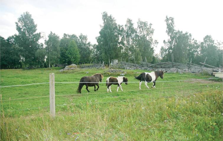 Ferienhaus für 4 Personen in Habo, Jönköpings län