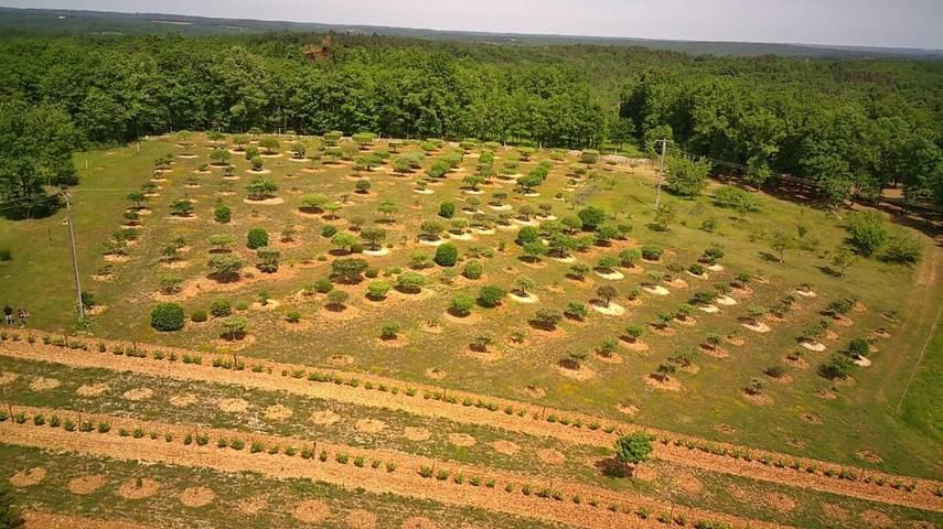 Location de vacances pour 2 personnes, avec vue et jardin, animaux acceptés à Cubjac - 3