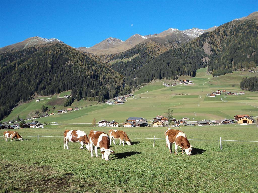 Ganze Ferienwohnung, Schuistlhof in Sillian, Osttirol