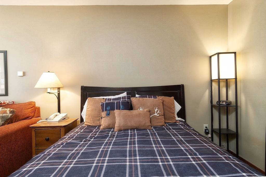 Ganze Wohnung, Rimfire 258 Studio - Access to Slope Cozy One Bed and Sofa Sleeper in Snowshoe, Greenbrier River