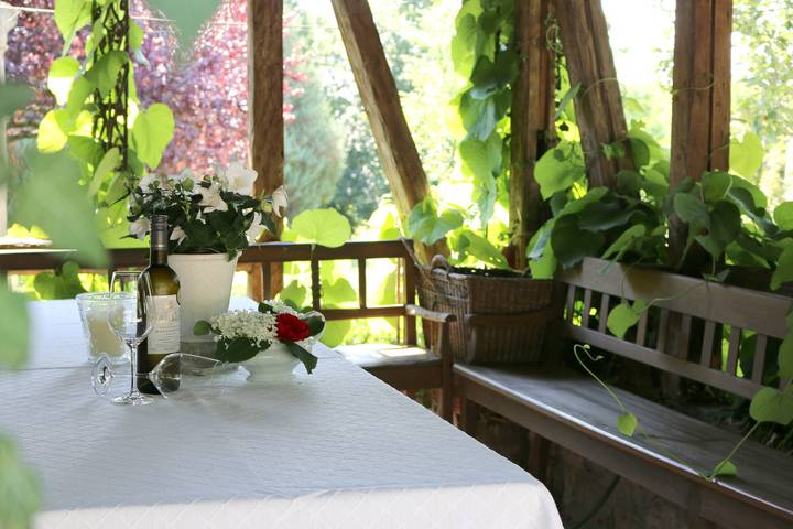 Ganze Wohnung, Landhaus Schmitt - Ferienwohnung Libelle mit kleinem romantischen Balkon, mit Blick in die Weinlaube in Sommerach, Fränkisches Weinland