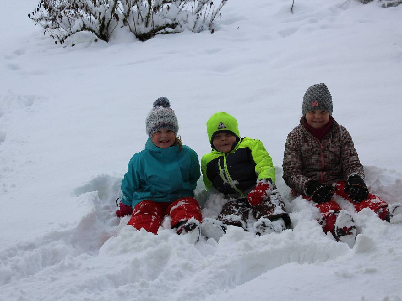 Naturparadies Silvia - Ferienwohnung in Alberschwende, Bodensee-Vorarlberg