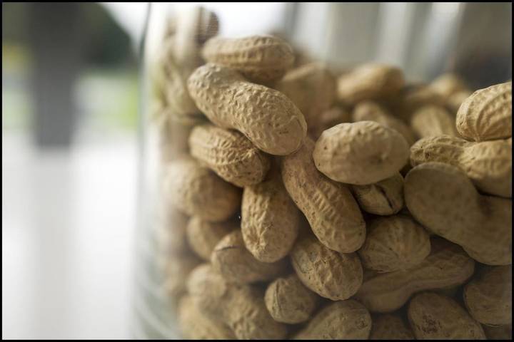 Location de vacances pour 2 personnes, avec vue ainsi que jardin et terrasse à Zedelgem - 3