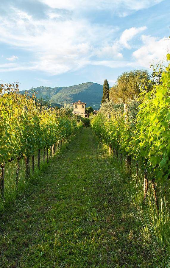 Villa für 4 Personen, mit Whirlpool und Terrasse sowie Garten und Pool in Sesto Fiorentino