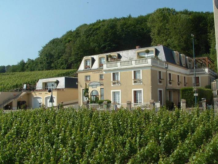 Maison d’hôte pour 15 personnes, avec vue à Cramant