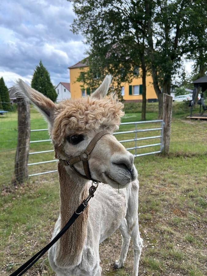Ferienwohnung für 7 Personen, mit Ausblick und Garten - 1